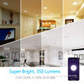 รอบ RGB Smart Home Mesh Downlight LED ปิดภาคเรียน